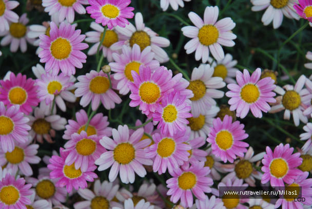 photo 1476173