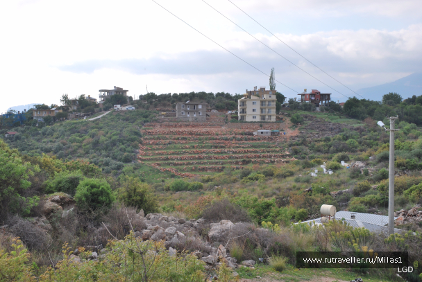 photo 1476177