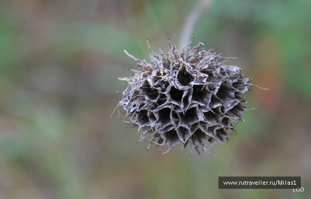 photo 1476184