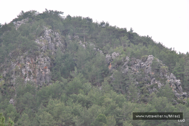photo 1476211