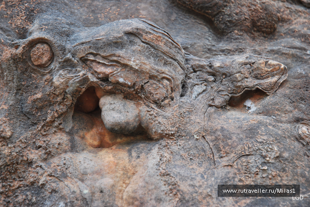 photo 1476214