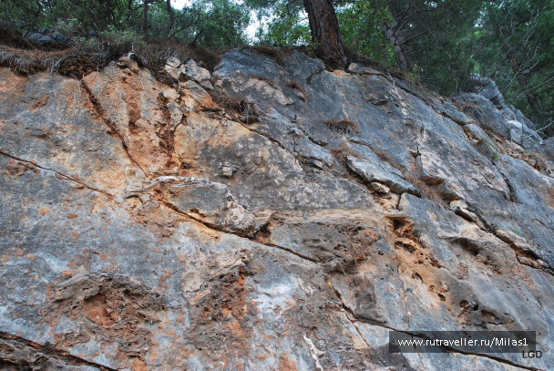 photo 1476215