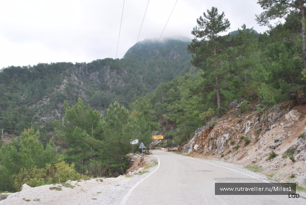 photo 1476216