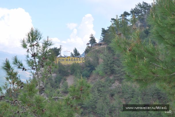 photo 1476217