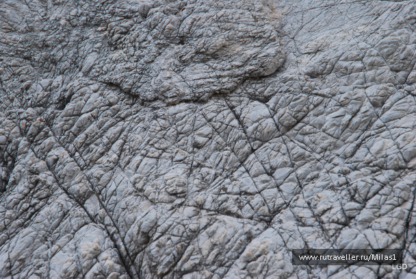 photo 1476222