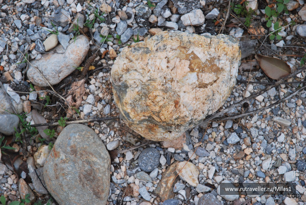 photo 1476223