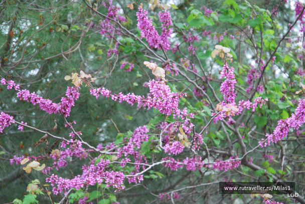photo 1476227