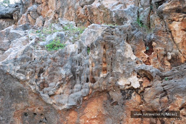 photo 1476232