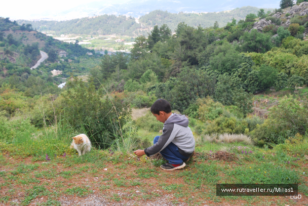 photo 1476245