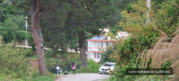 photo 1476246