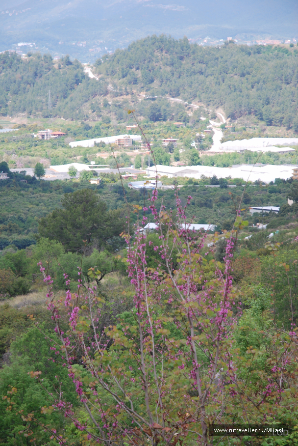 photo 1476247