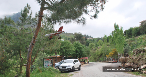 photo 1476254