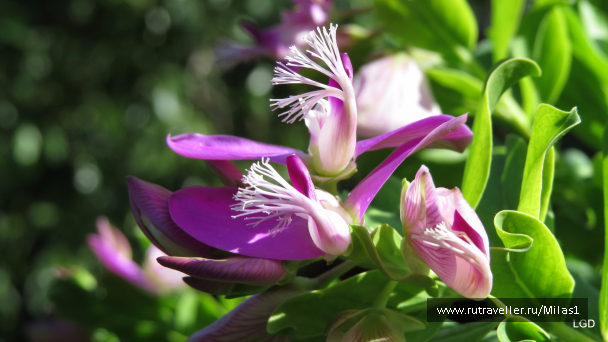photo 1563372