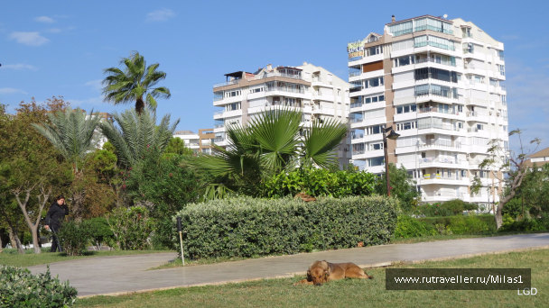 photo 1563382
