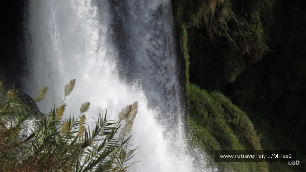 photo 1563386