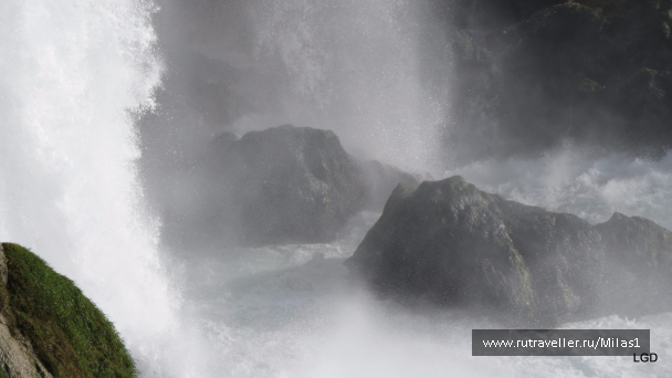 photo 1563388