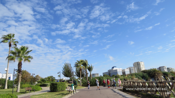 photo 1563394