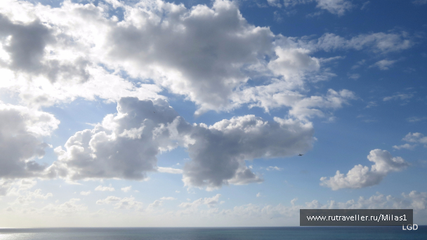 photo 1563401
