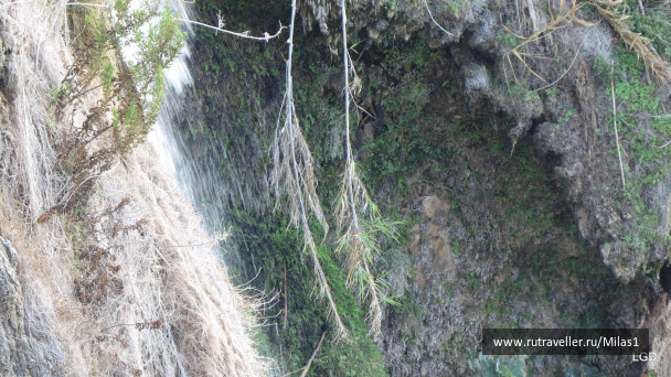 photo 1563404