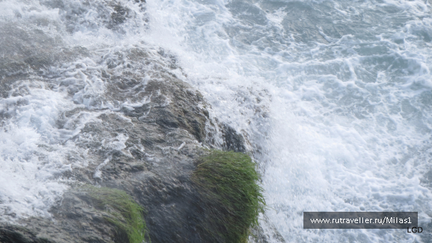 photo 1563408