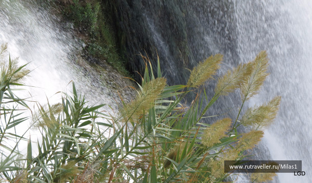 photo 1563409