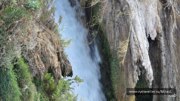 photo 1563410