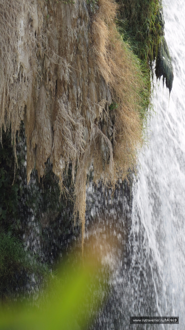 photo 1563411