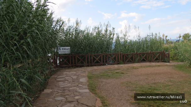 photo 1563413