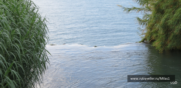 photo 1563414
