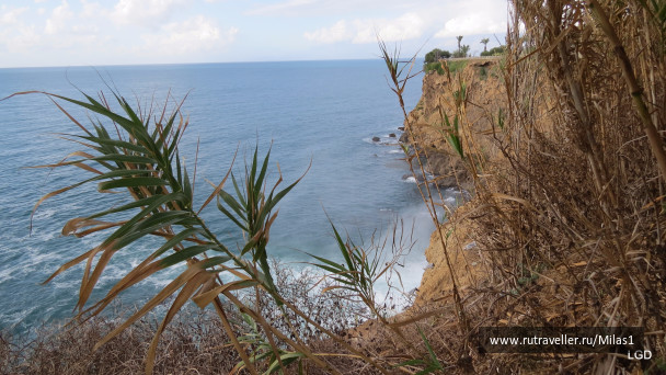 photo 1563415