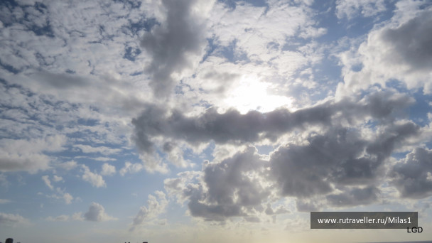 photo 1563419