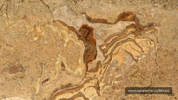 photo 1563421