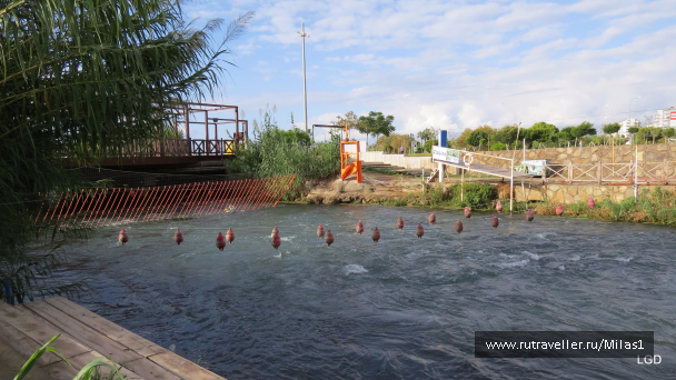 photo 1563423