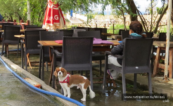 photo 1563425