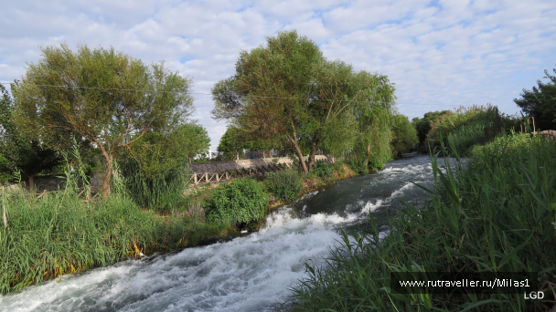 photo 1563426