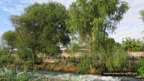photo 1563430