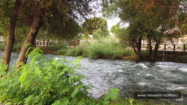 photo 1563434