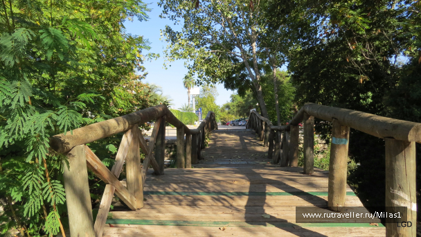 photo 1563447
