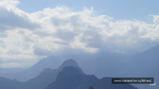photo 1563449