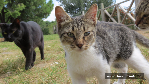 photo 1563471