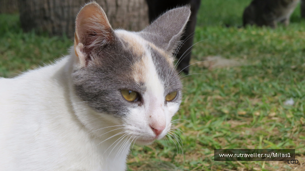 photo 1563473
