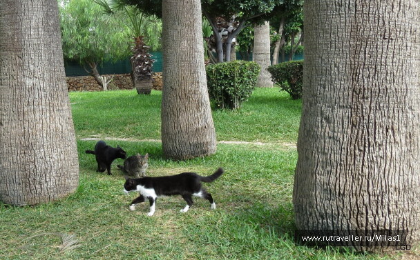 photo 1563475