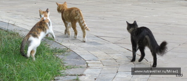 photo 1563489