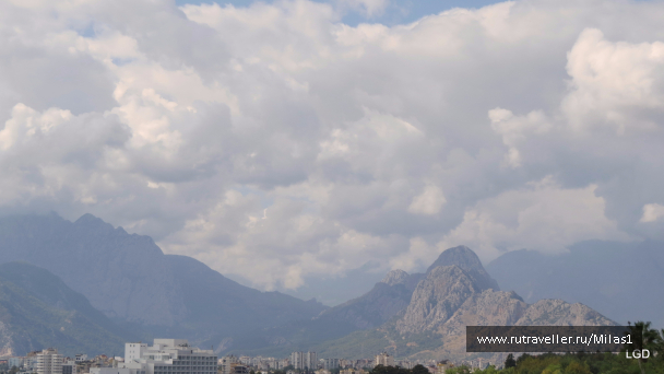 photo 1563494