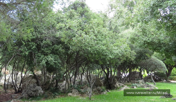 photo 1563505
