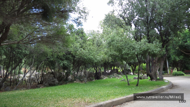 photo 1563506
