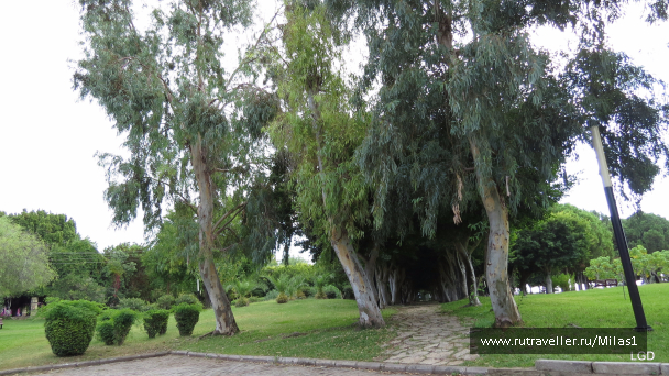 photo 1563512
