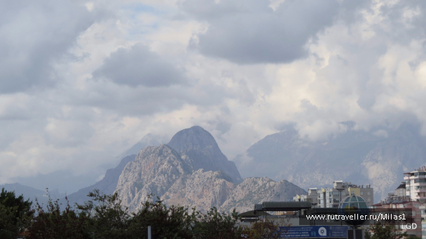 photo 1563520