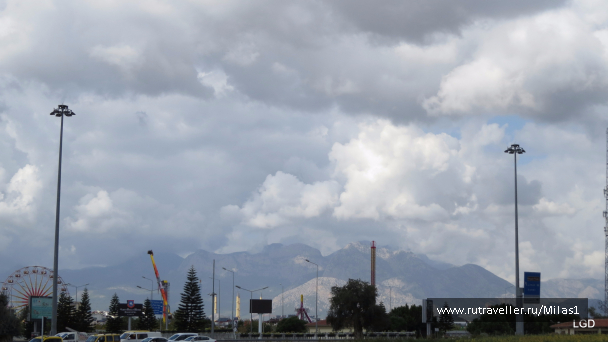 photo 1563525