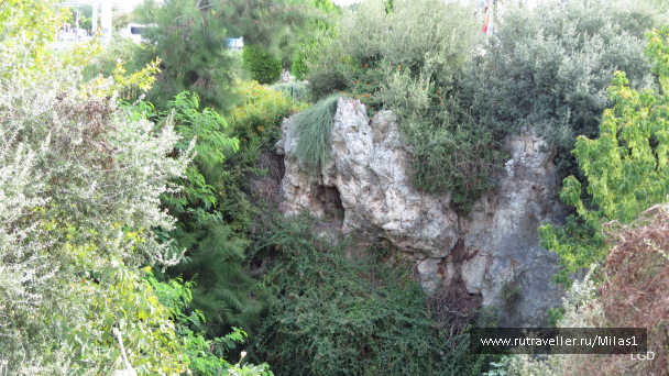 photo 1563533